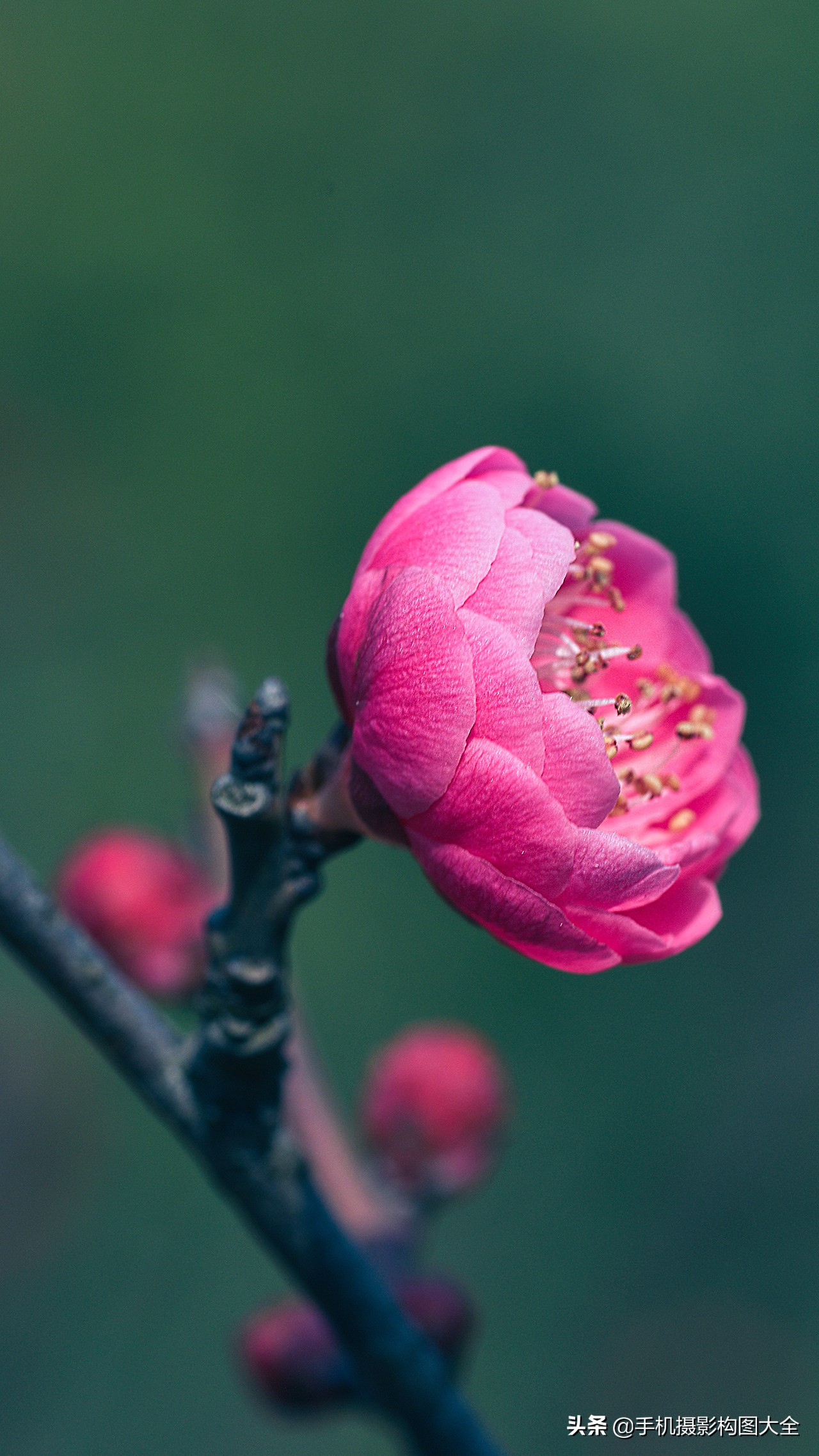 把你的相片做成动态图片,试试你的照片动漫效果
