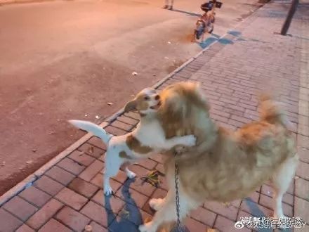 真的服了！北京2154万人口，我打个车都能拼到前男友……