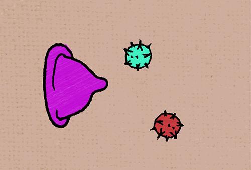 安全套能防止尖锐湿疣吗,安全套能有效防止什么传染病