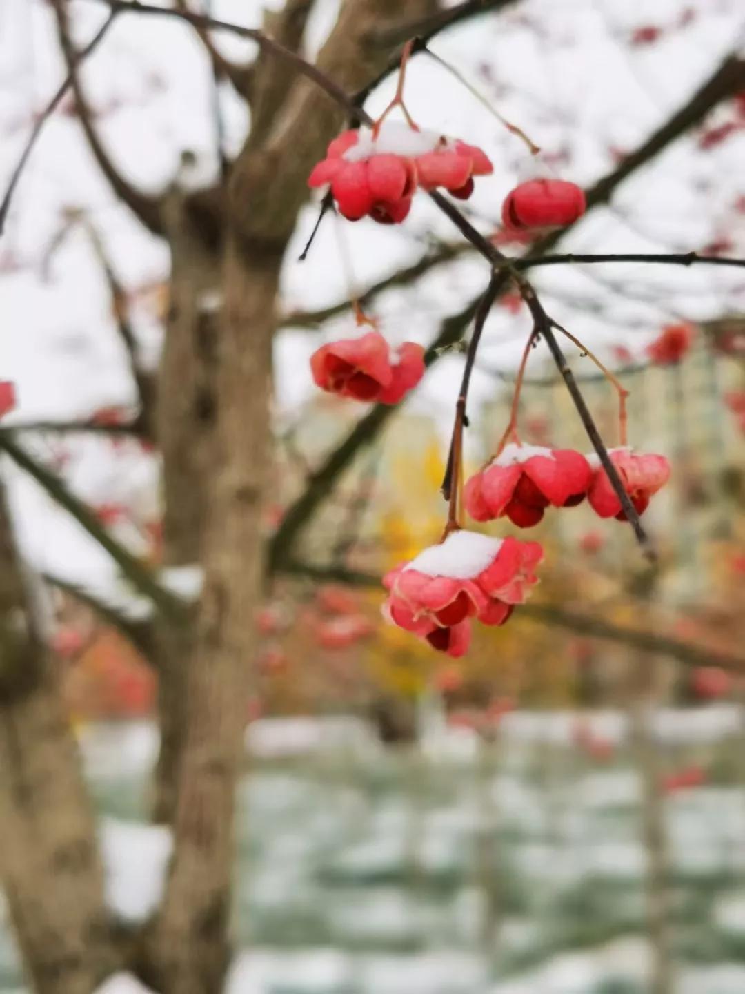 疫情下的酸甜苦辣咸人间百态,疫情中的悲喜