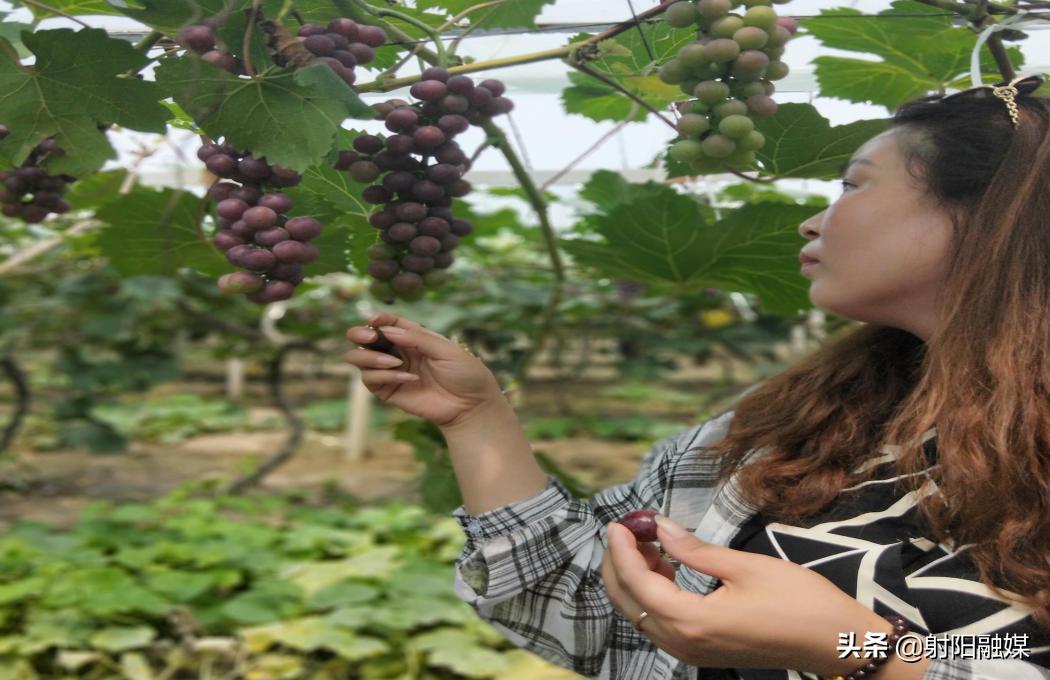 全市唯一！射阳的这个村不简单，再次入选“国字号”名单