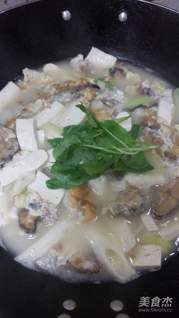 被误解最多的鱼其实它全身都是宝,常常被大家忽略的鱼浑身是宝