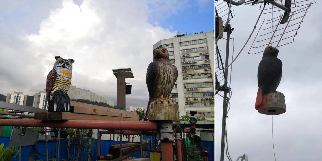 天降横财香港在线,天降横财买彩票中奖