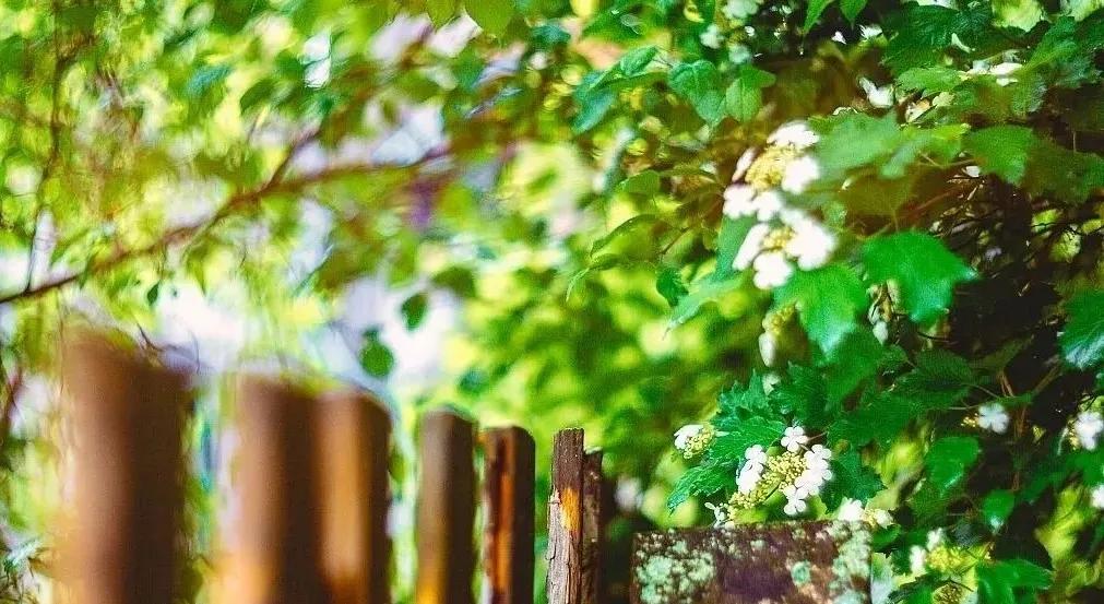 11月21日早安心语正能量句子,2021年早安心语正能量一句话