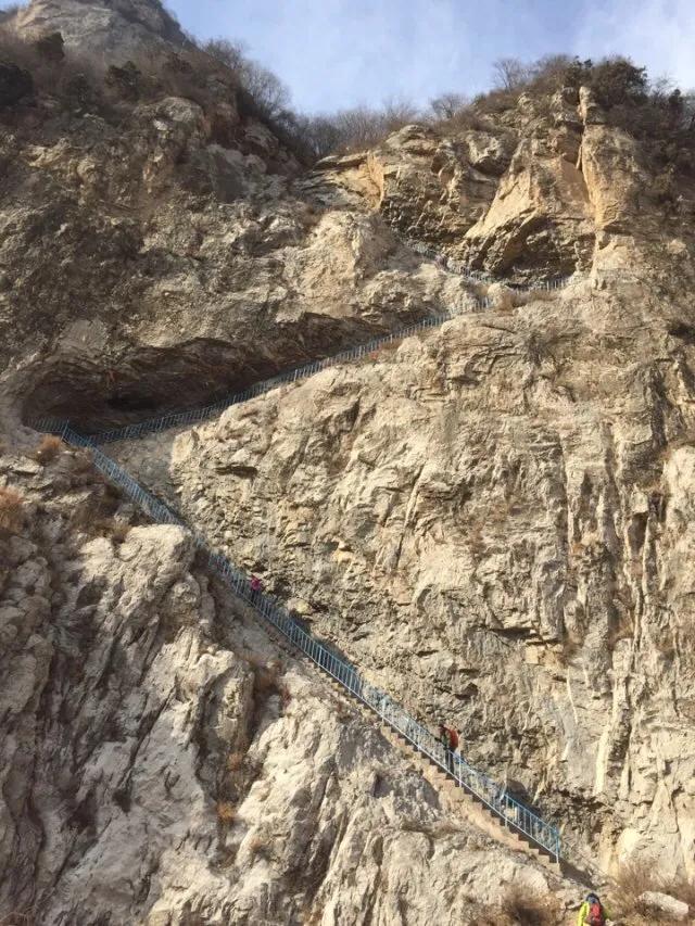 在山里迷路遇到狐狸,在山里迷路遇到了好漂亮的小姑娘