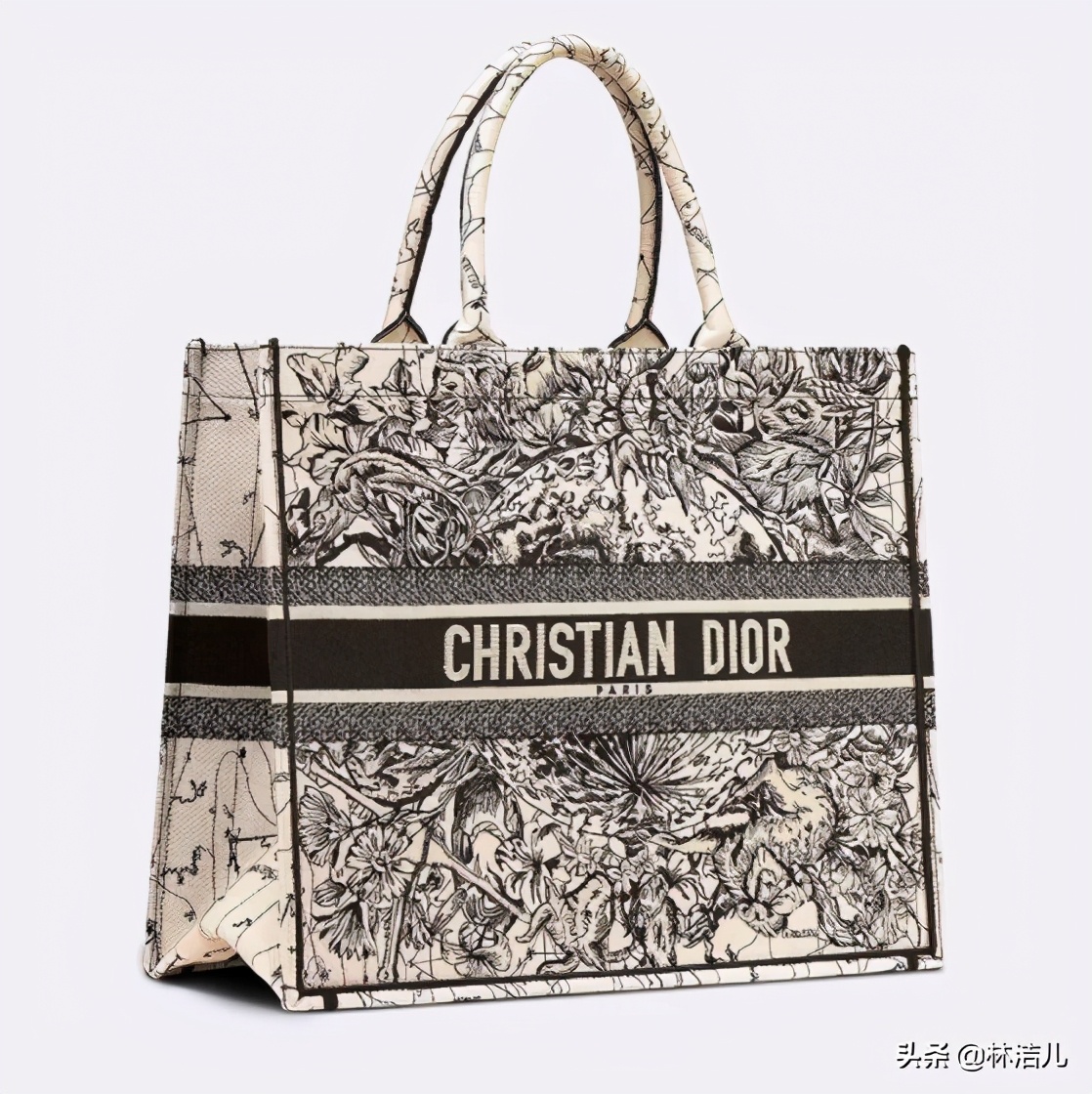 倪妮和lisa,倪妮同款圣罗兰双肩包