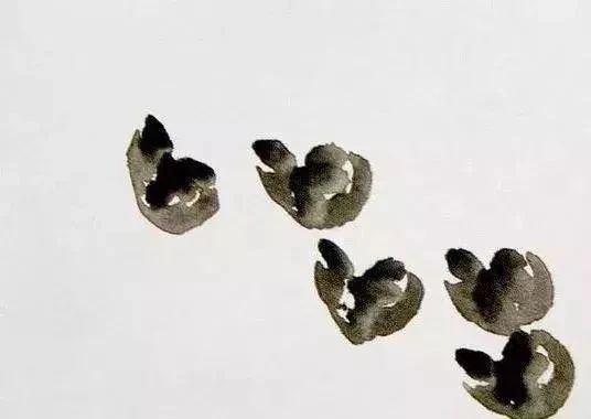 国画作品常识有哪些,国画创作的思路和方法