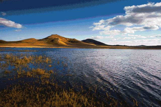 一到秋天,这里就美成了金色天堂!全世界独一份!