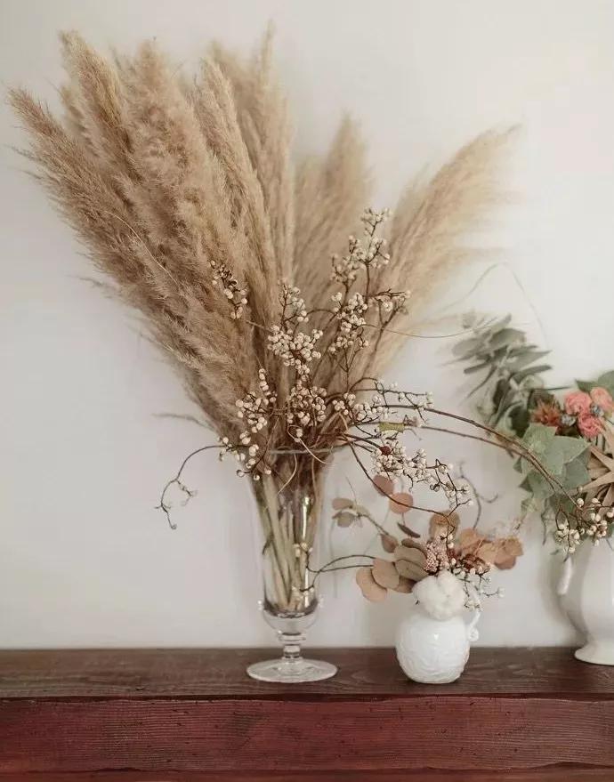 她用这种高颜值的干花装饰家里，隔壁邻居都惊叹不已