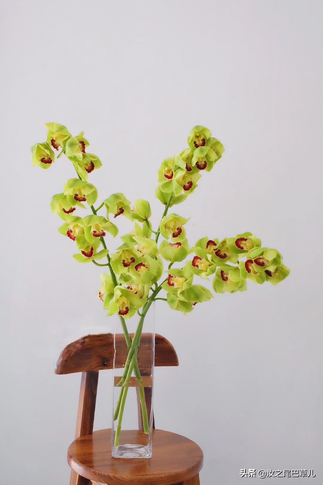 刚买回来的鲜花有点蔫怎么处理,刚买的鲜花就枯萎了是什么原因