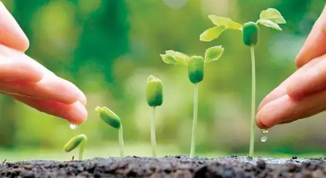 氨基酸、黄腐酸、腐植酸:三大生物刺激剂的作用与区别