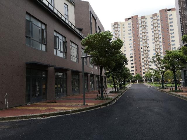 上海临港新片区万祥东来建设,临港新片区万祥