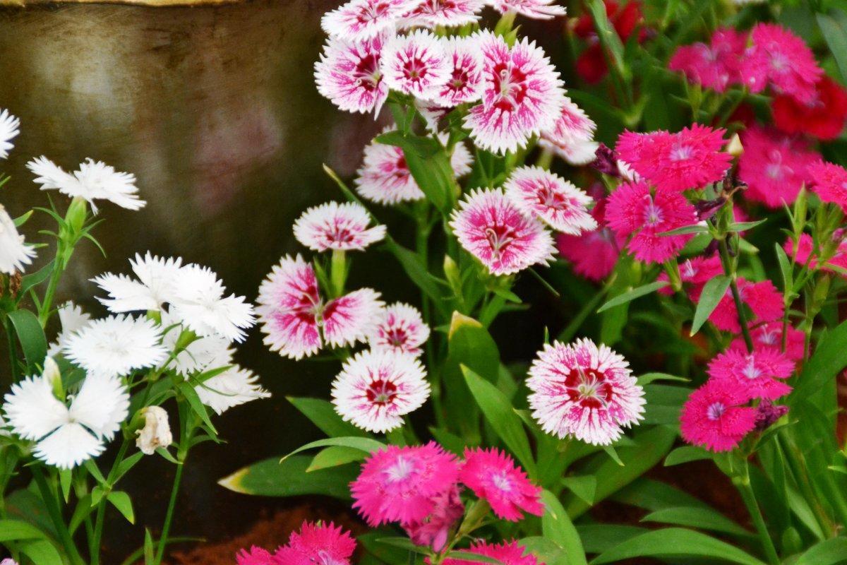 秘而不宣的情绪，在光影斑驳的浅秋里呈现出一地凉意