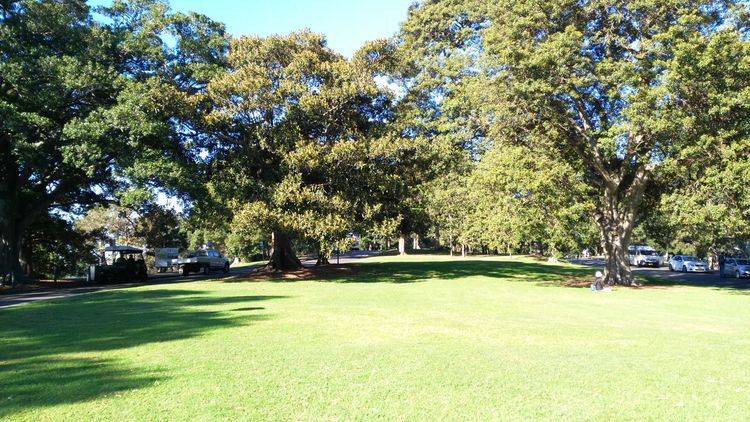 悉尼和墨尔本哪个城市更宜居,悉尼vs上海哪个更适合宜居