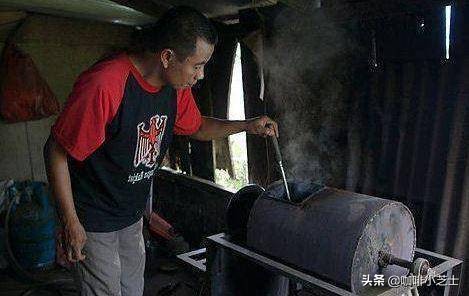 猫屎咖啡给麝香猫带来灭顶之灾,养猫屎咖啡成本