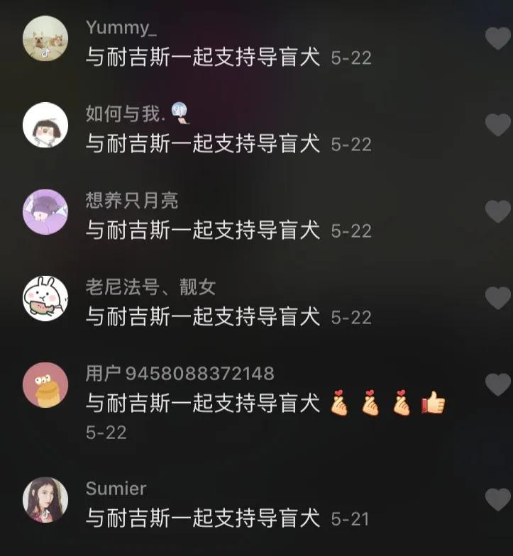 感谢15888名导盲犬支持者,1吨耐吉斯犬粮已送达导盲犬基地