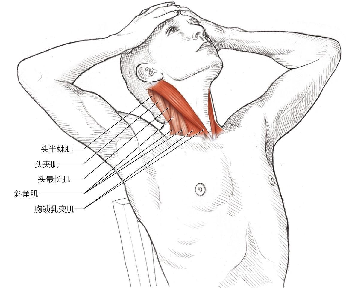 学舞蹈不会扭,学舞蹈不会基本功怎么办