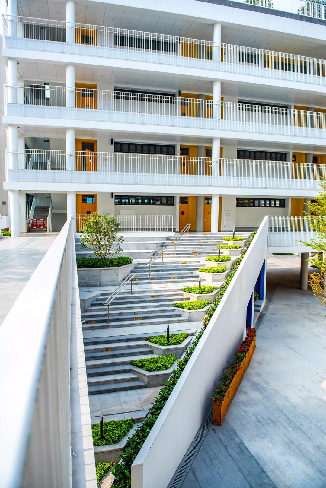 龙岗华中师范附属龙园学校怎么样,华中师大附属龙园学校深圳排名