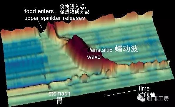 黑咖啡为啥可以解决便秘,喝黑咖啡反而便秘了