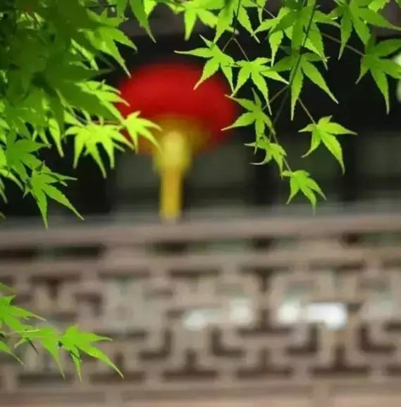 为人处世智慧增广贤文,处世奇书《增广贤文》原文