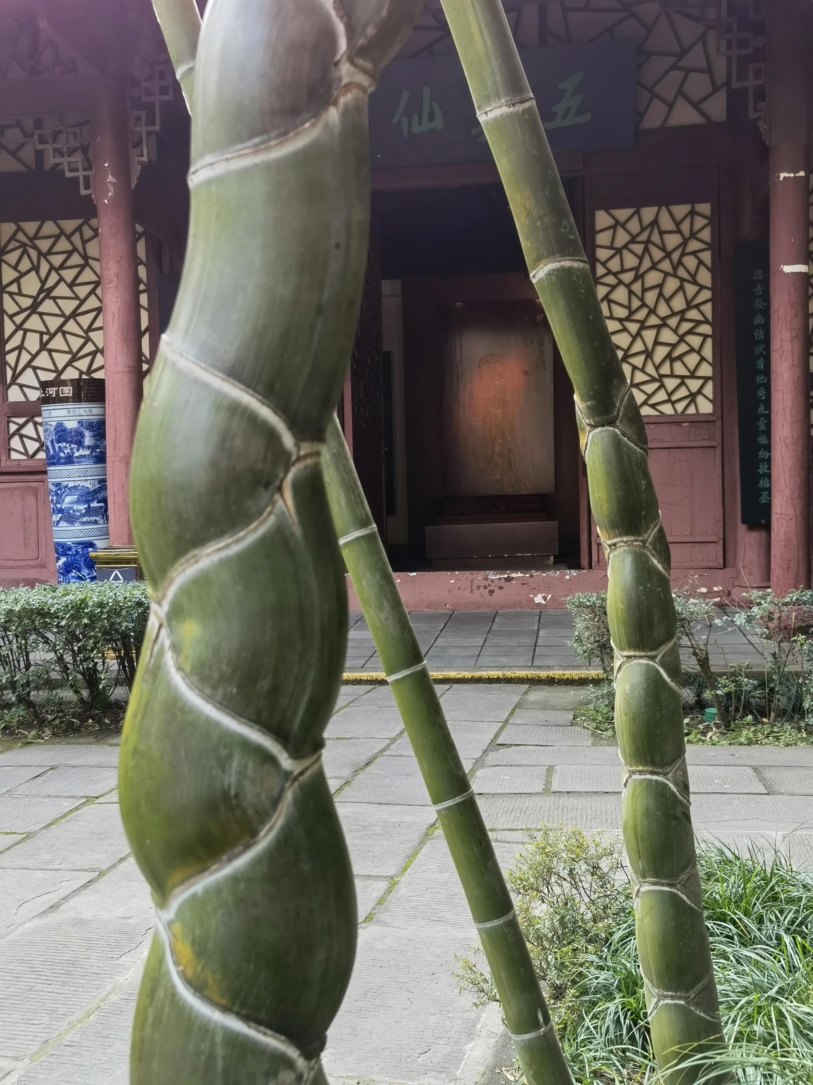 一分钟带你游遍全国,一分钟带你逛完公园