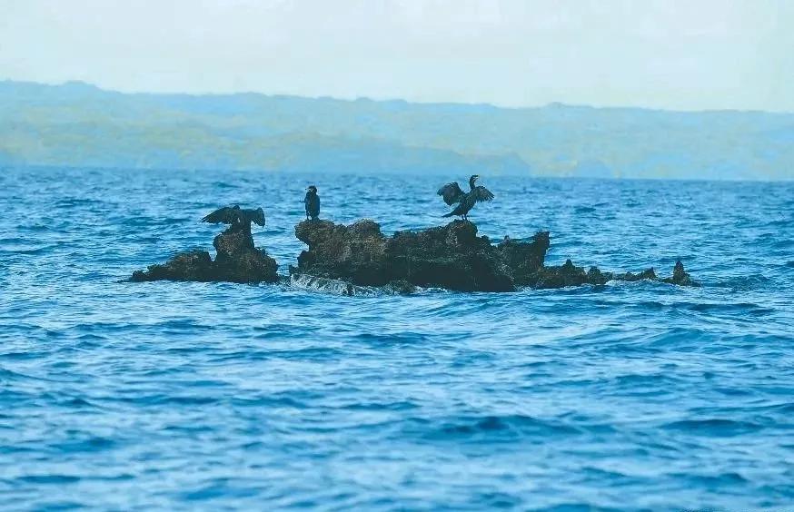 所罗门群岛:太平洋的“宝藏岛国”