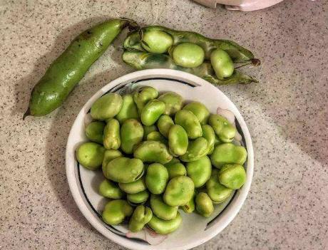 怎么做的糯米圆子又香又好吃,糯米圆子怎么做软糯好吃