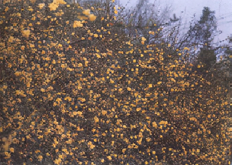 世界各国的国花和国树是什么,世界各国国花大开眼界美到爆