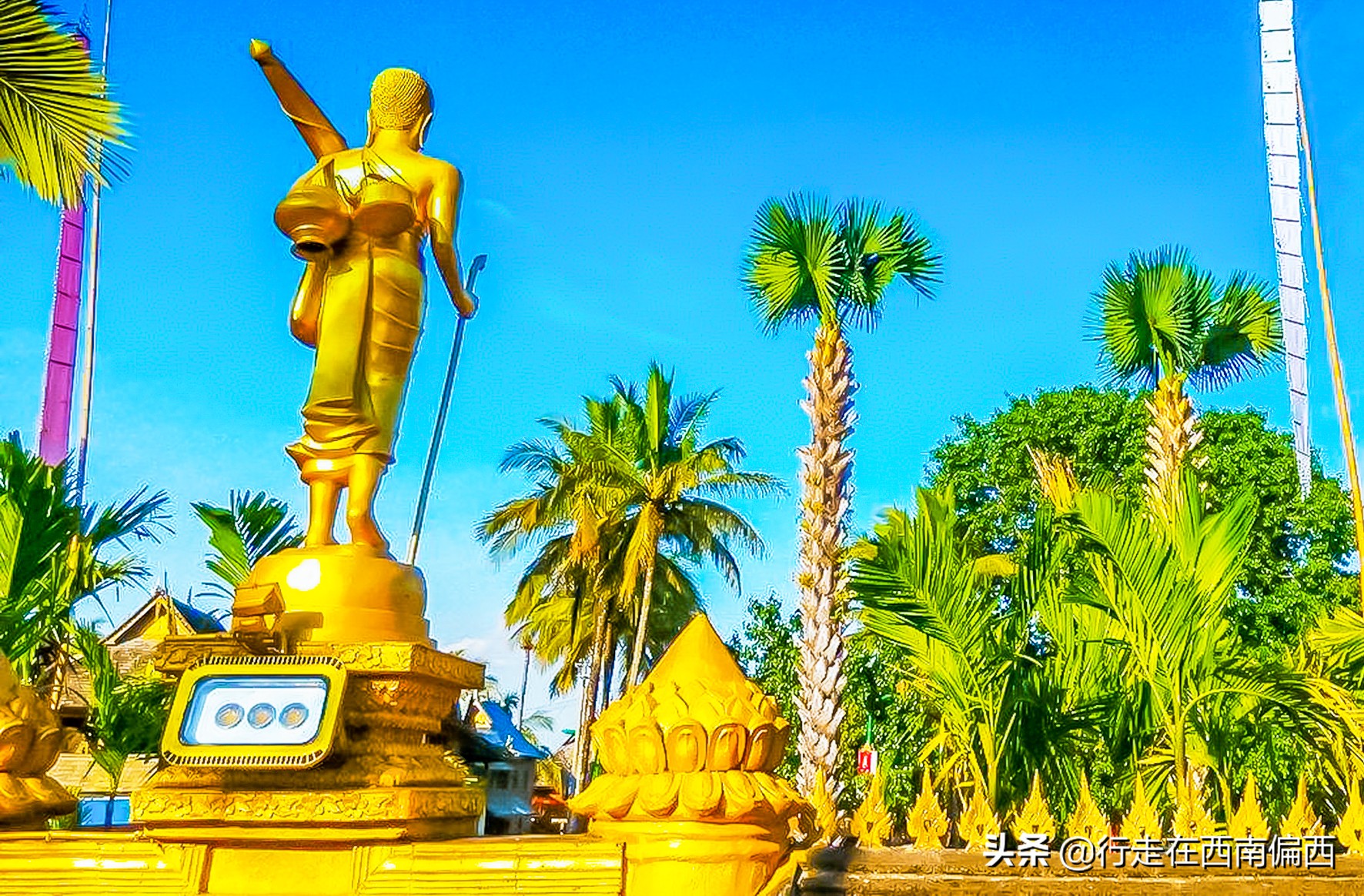 西双版纳五树六花中心,西双版纳五树六花地理位置