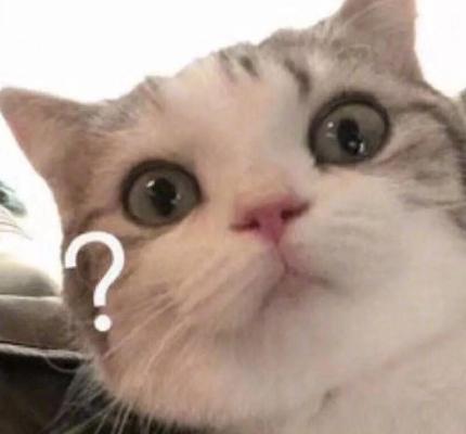 发酵酸奶产生的透明液体,酸奶表面有一层透明物