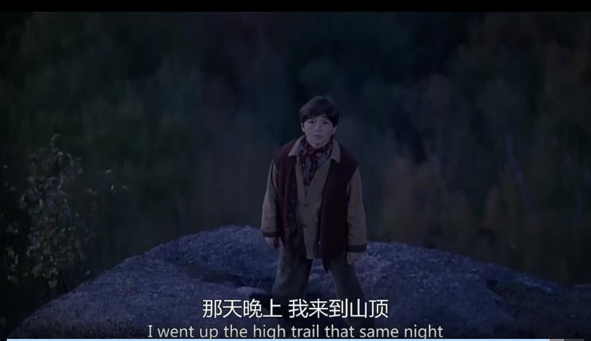 小树变大树励志故事,小树励志故事