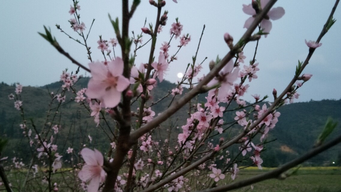 销售成功第一步是如何销售自己,销售技巧幽默一点活跃销售气氛