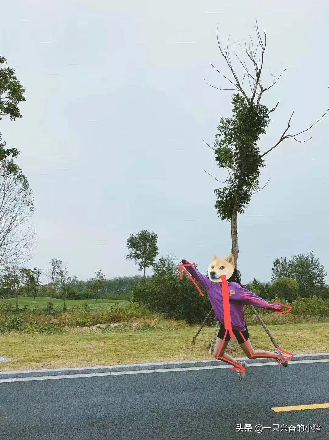 怎样拍出来的照片发朋友圈最好看,如何拍出好看的照片火爆朋友圈