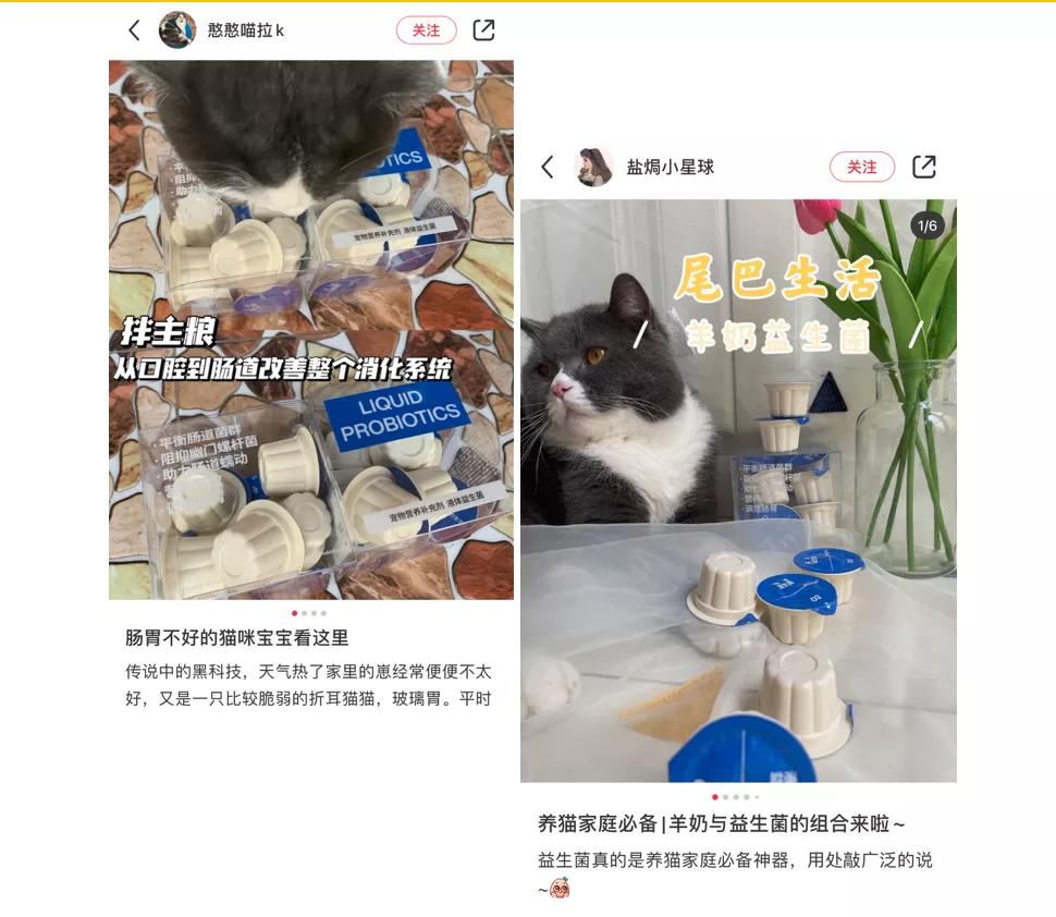 热销益生菌推荐,益生菌爆款第一