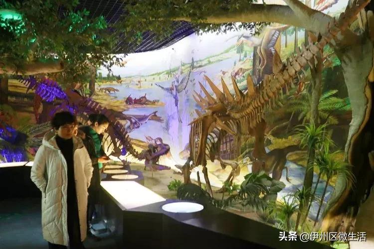 走进巴州博物馆,走进新疆博物馆