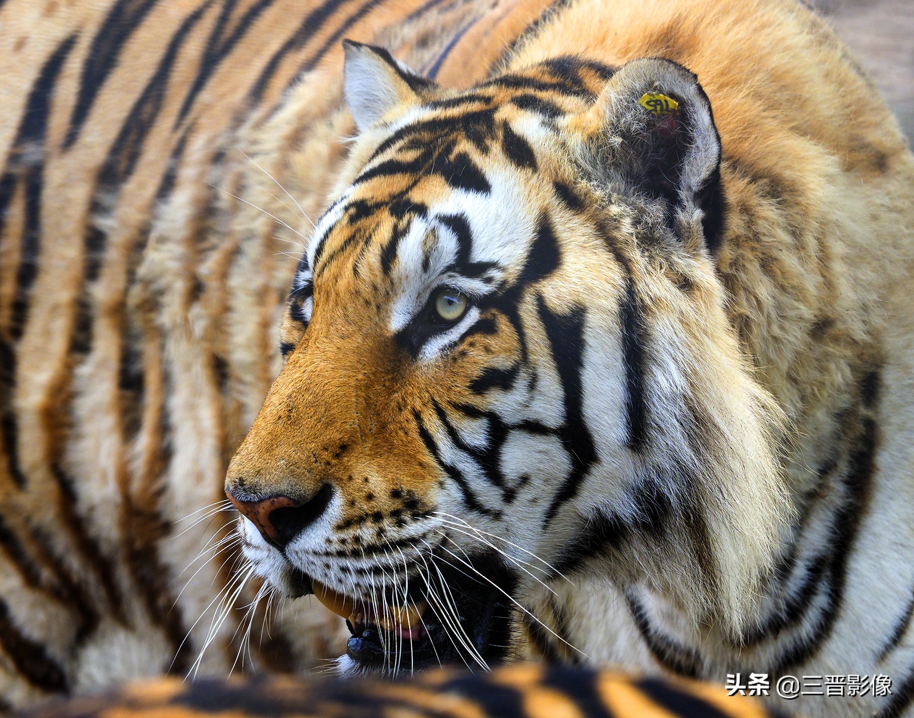 一款让你爱不释手的相机,有没有一款让人满意的相机