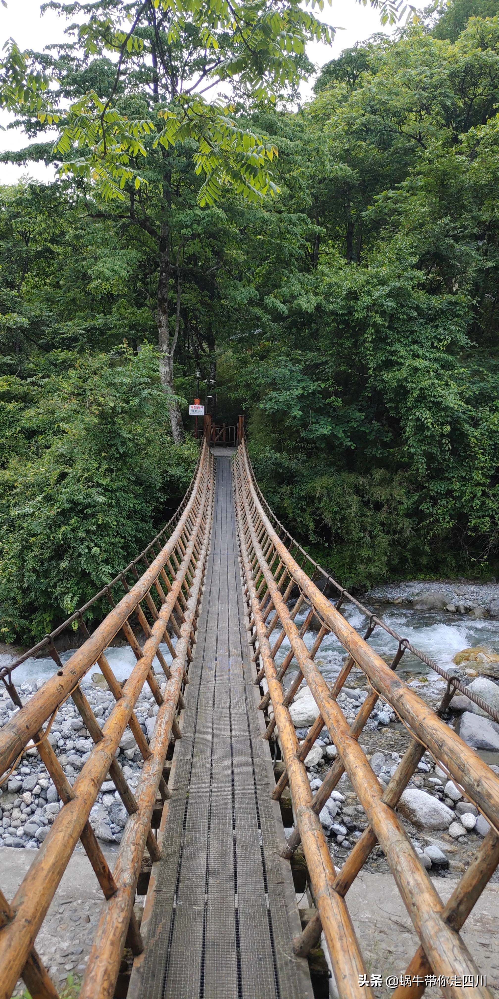 带小朋友出去看小动物,带小孩去海洋动物园