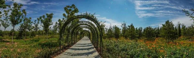 儿童乐园绿心公园,绿心公园儿童游乐区最新视频