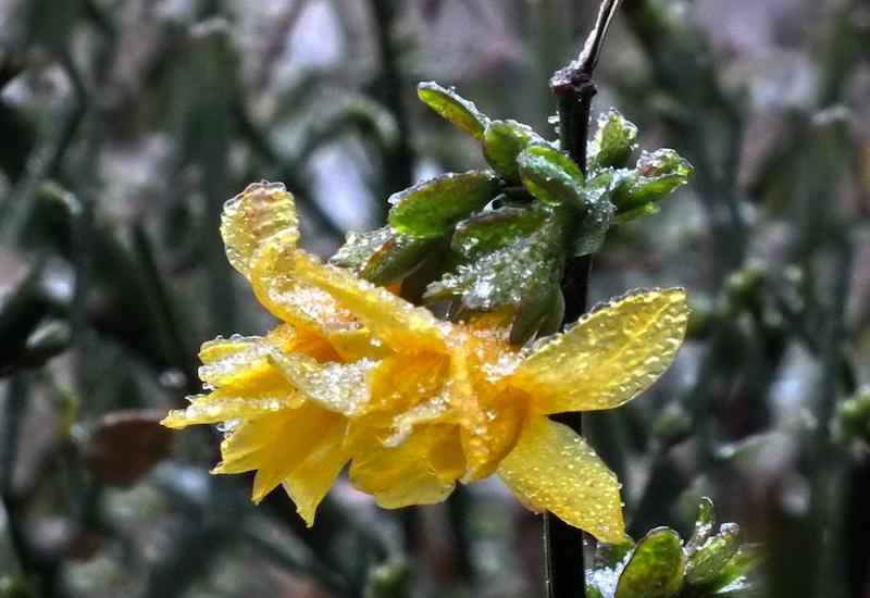冬天打雷有什么说法风水上,春夏秋冬打雷的讲究