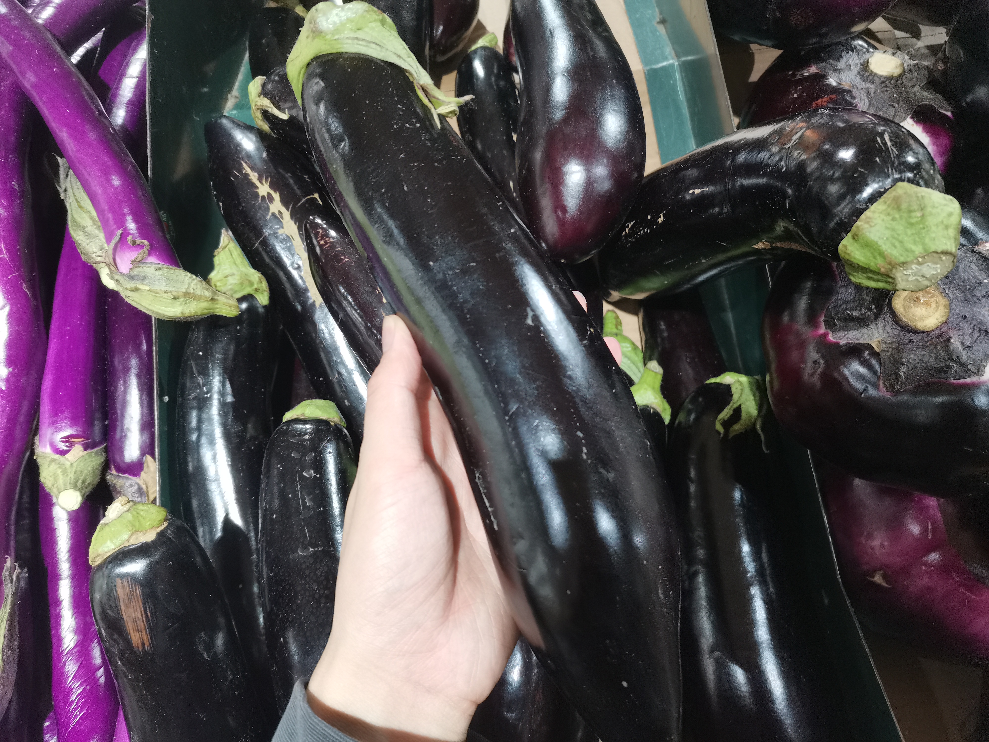 买茄子挑弯的还是直的,如何辨别茄子的成熟度