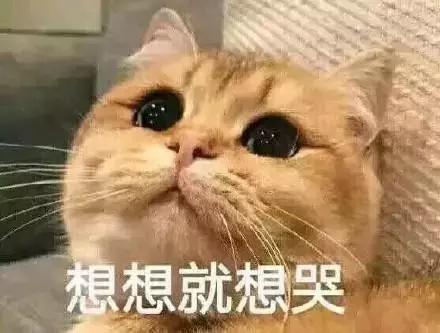 杨幂同款重磅t恤,杨幂同款小飞象短袖