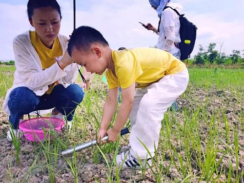 辽宁省小学的3朵“霸王花”，实力强，含金量高，有你的母校吗？