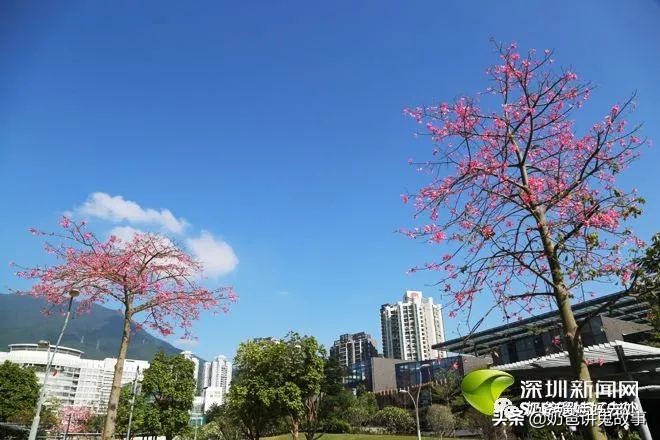 面朝大海春暖花开旅游景点,面朝大海春暖花开游玩