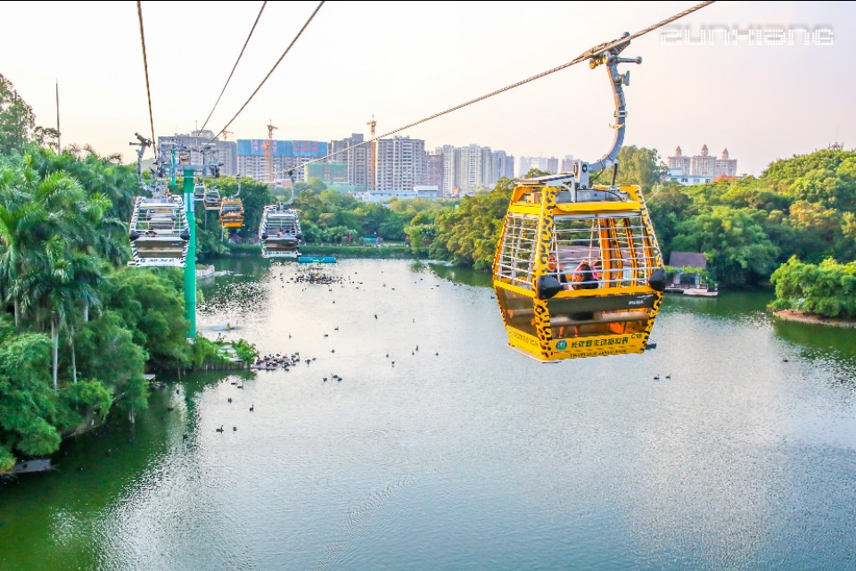 长隆野生动物园开车进去攻略,长隆野生动物园南门步行攻略