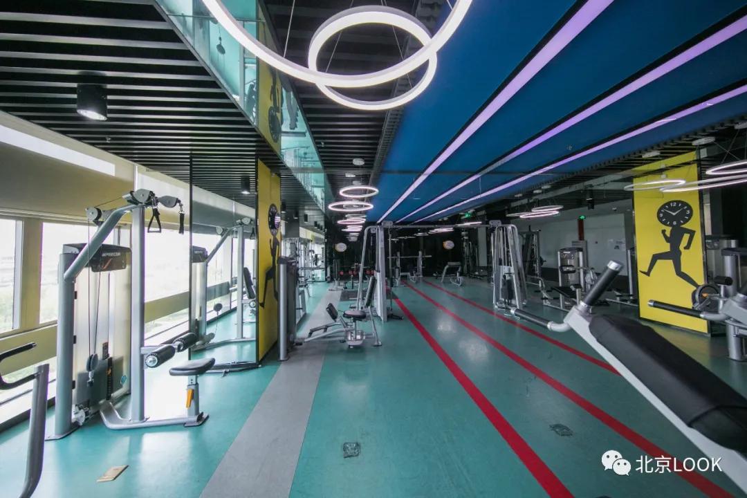 别人家的公司,别人家的公司还招人吗