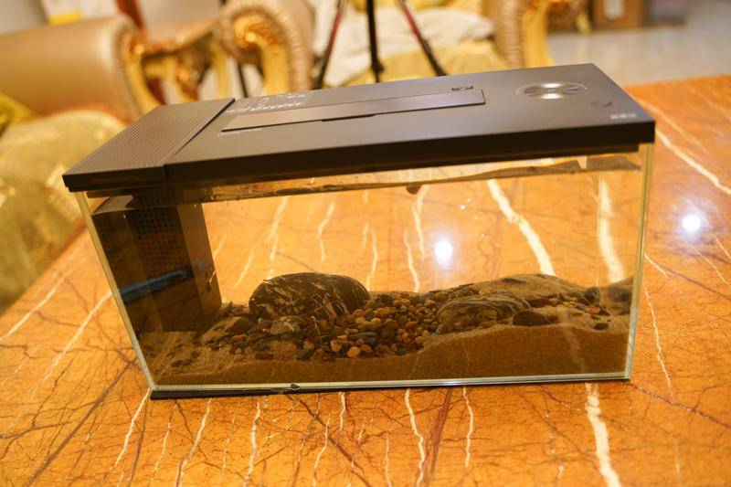 小佩起源纪鱼缸过滤怎么样,小佩起源纪鱼缸