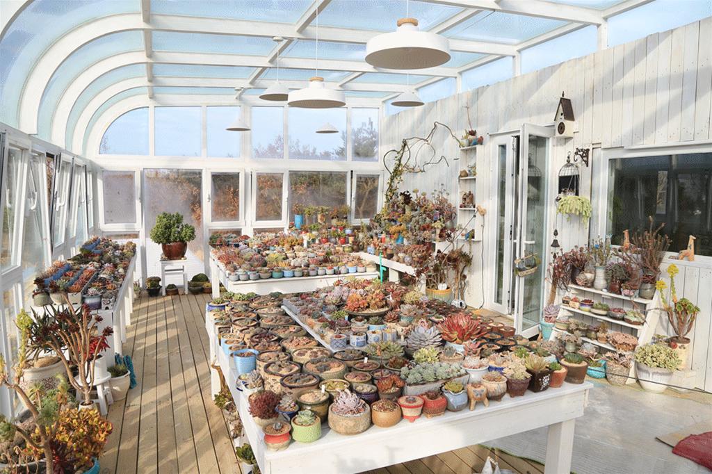 澶氳倝澶х浜屾湪,澶氳倝杈句汉浜屾湪