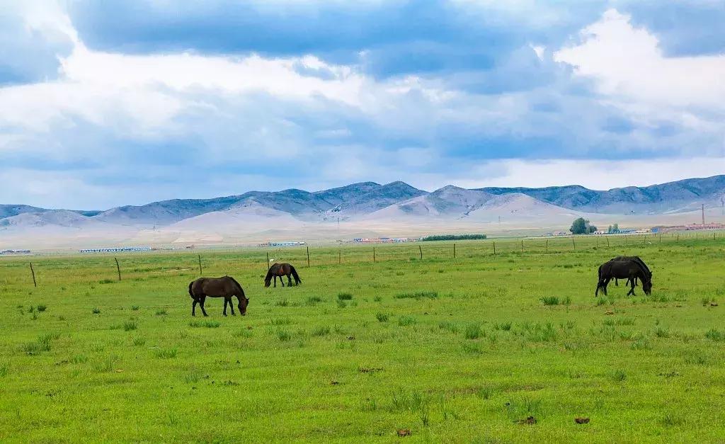 不吃点季节限定美食，这个春天就太没意思了
