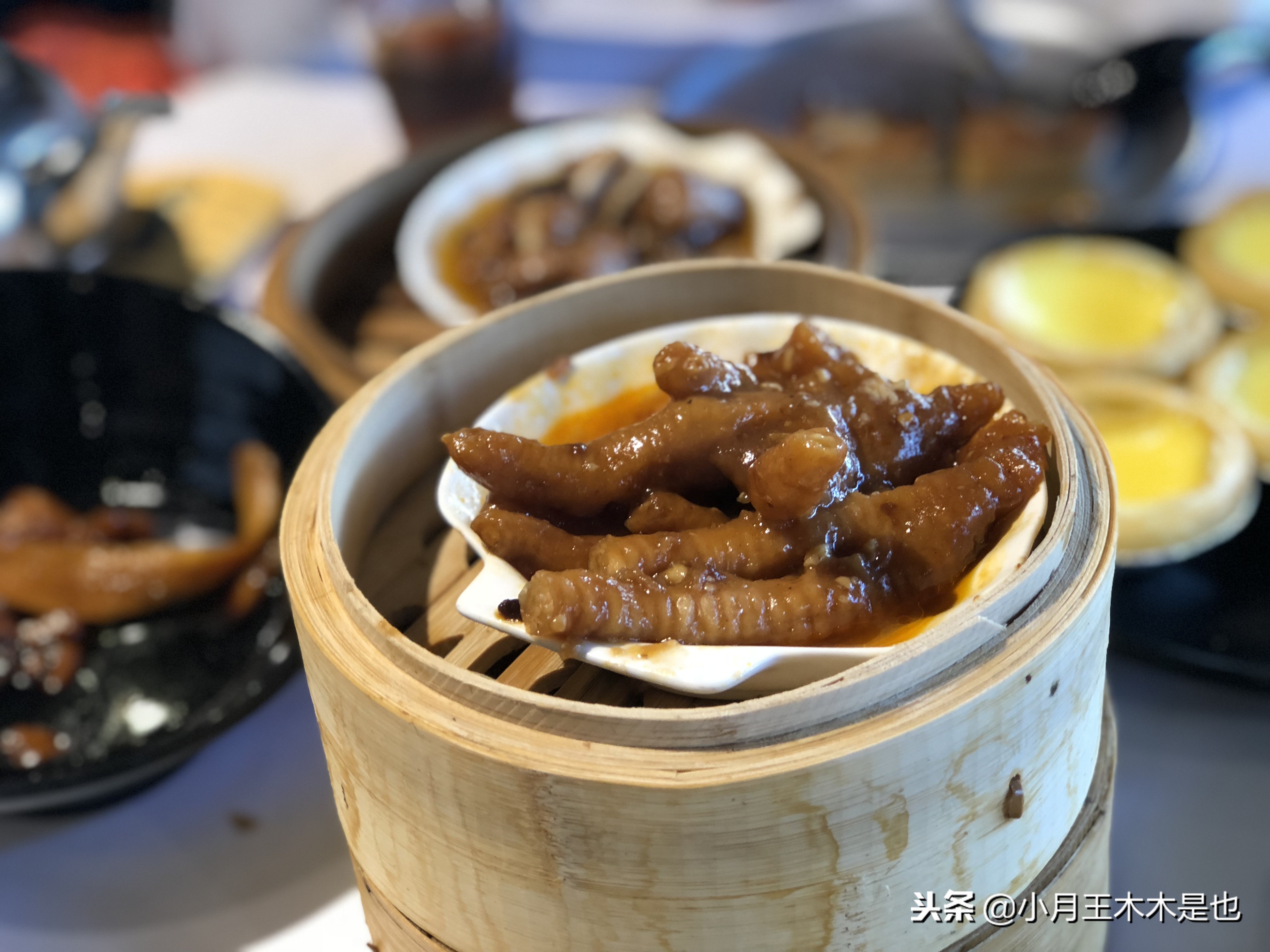 豪生粤式点心自助,半米田粤式点心广州