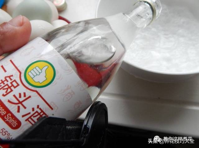 养花必备四种调料,养花最好的4种料